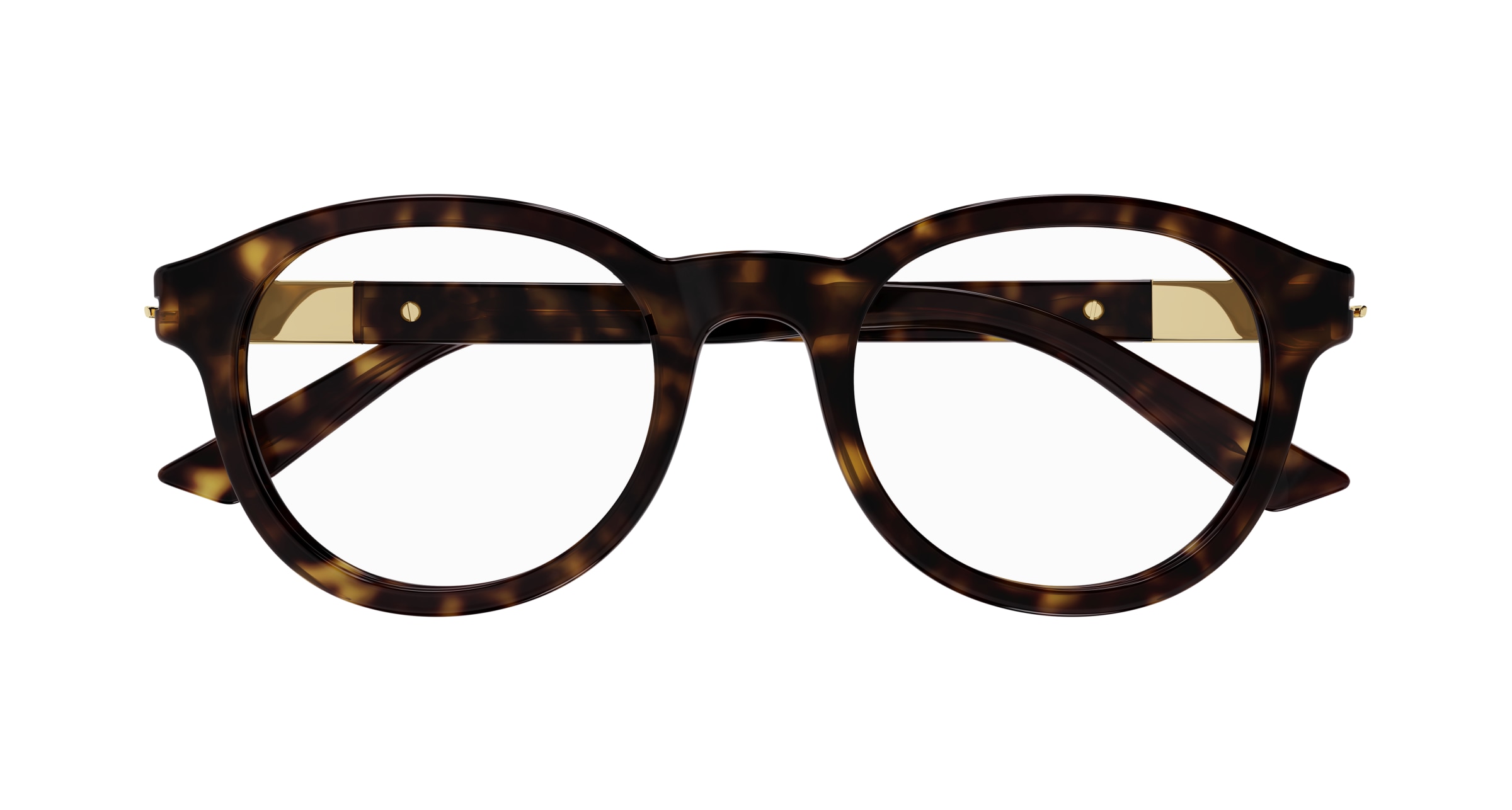 GUCCI - GG1503O HAVANA