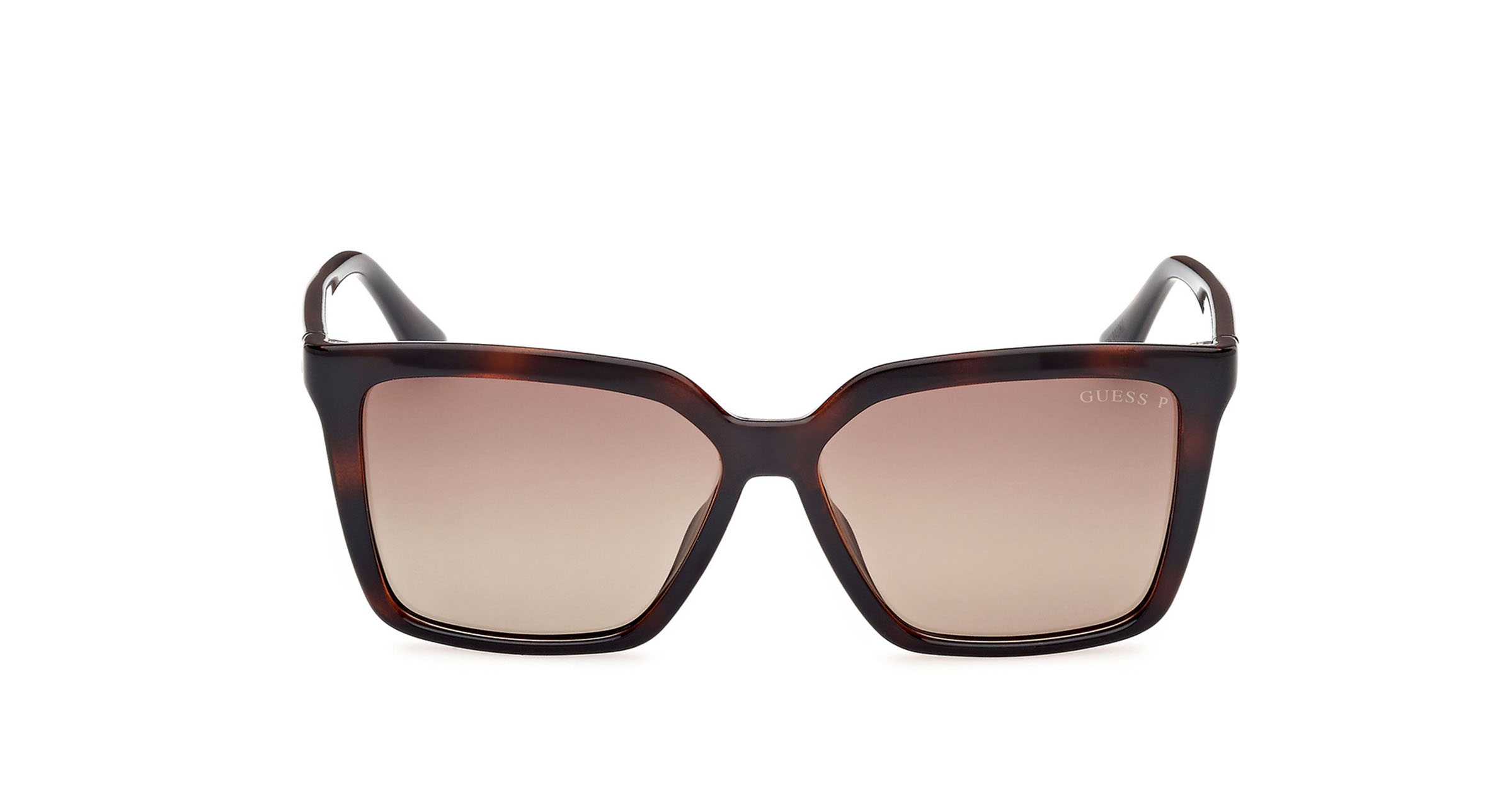 GUESS - GU00099 HAVANA